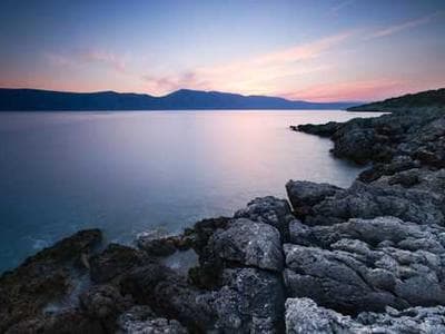 Software Developer Role